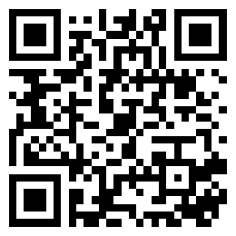 QR hacia la ficha del vehículo