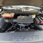 RAM BIGHORN